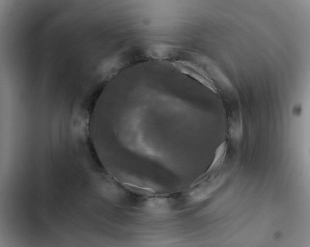 X0000102490332200808221736