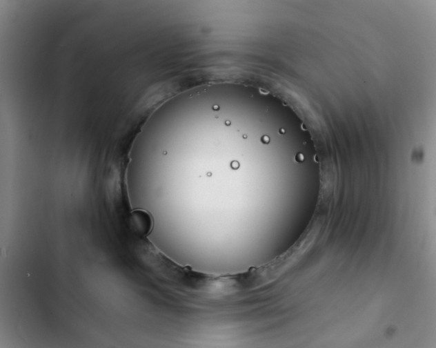 X0000102490333200808221736