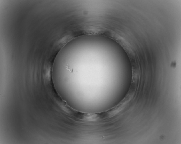 X0000102490334200808221736