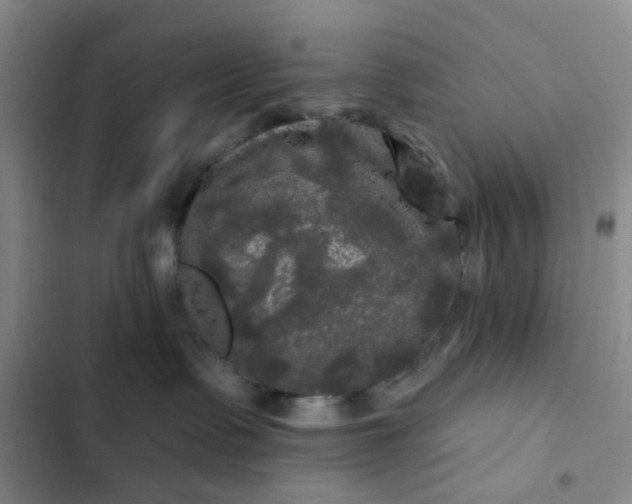 X0000102490335200808221736