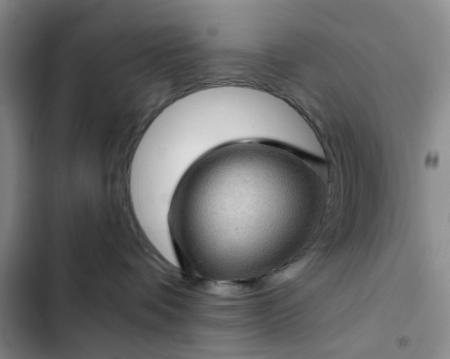 X0000102490336200808221736