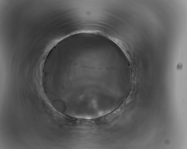 X0000102490337200808221736