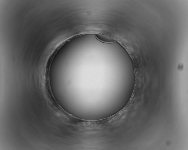 X0000102490338200808221736