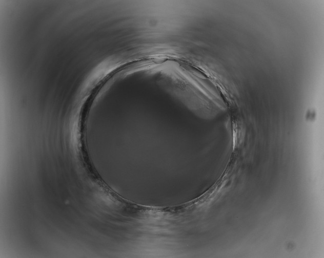 X0000102490339200808221736