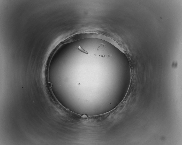 X0000102490340200808221736