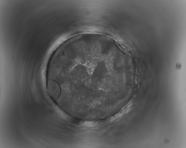 X0000102490341200808221736