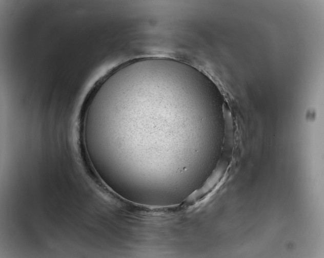 X0000102490342200808221736