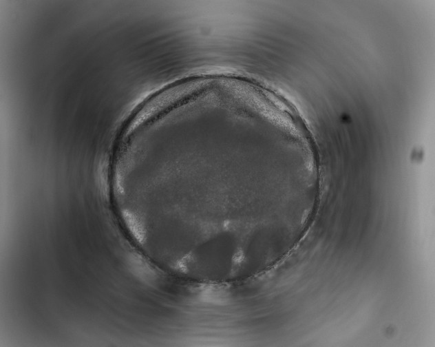 X0000102490345200808221736