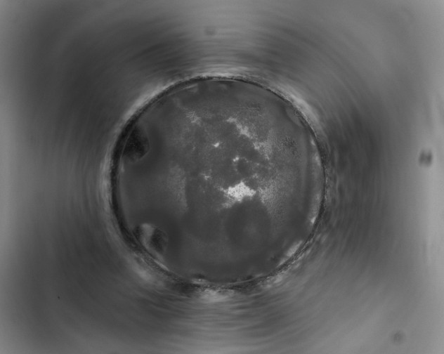 X0000102490346200808221736