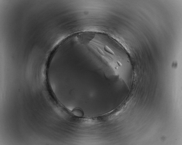 X0000102490347200808221736