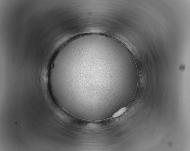 X0000102490350200808221736