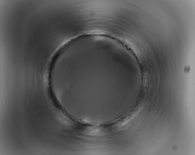 X0000102490351200808221736