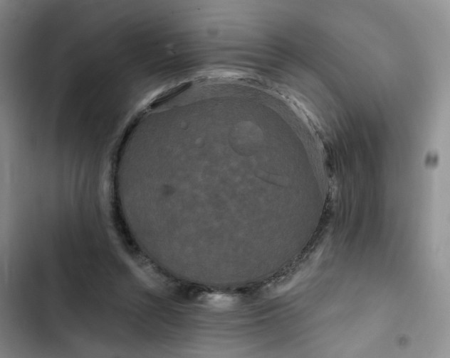 X0000102490352200808221736