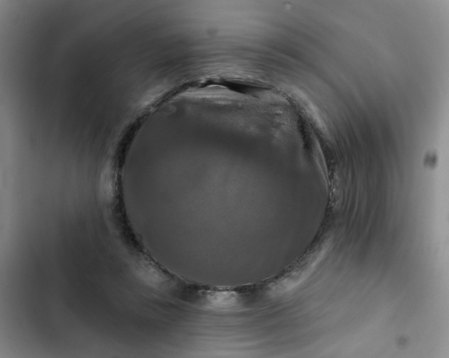 X0000102490355200808221736