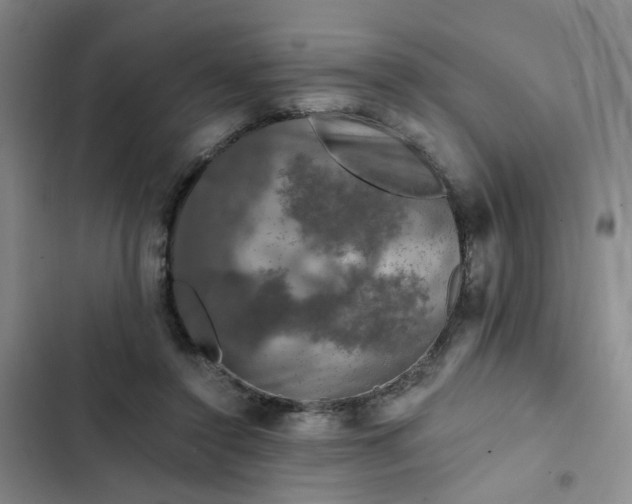 X0000102490356200808221736