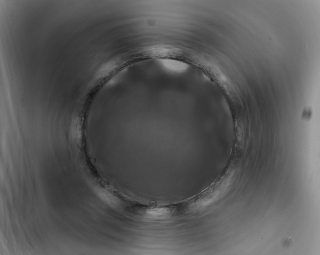 X0000102490357200808221736