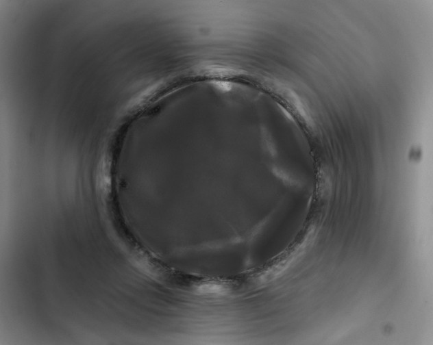 X0000102490358200808221736