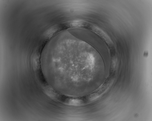 X0000102490360200808221736