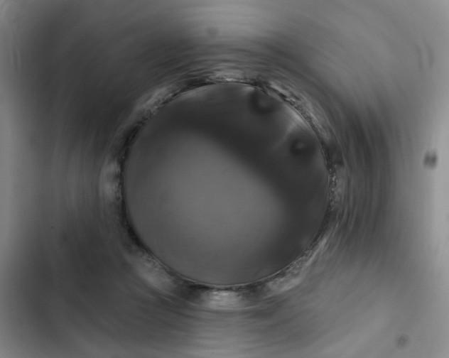 X0000102490361200808221736