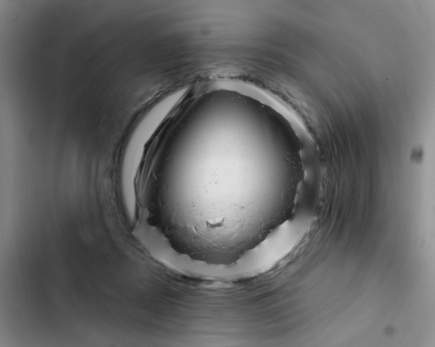 X0000102490362200808221736