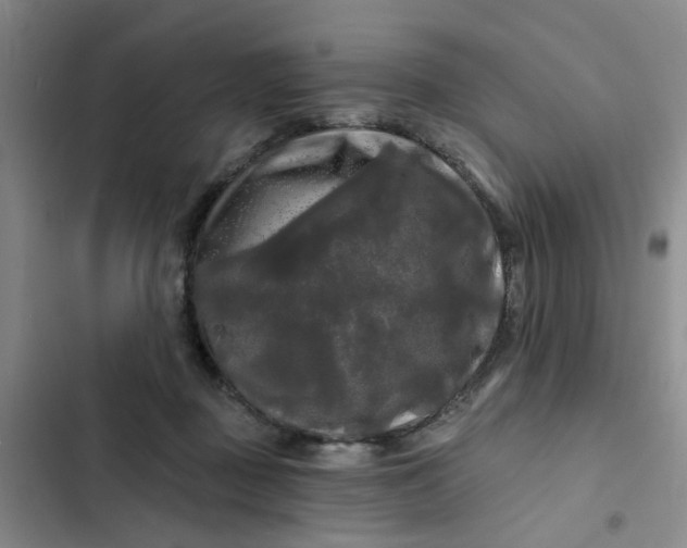 X0000102490363200808221736