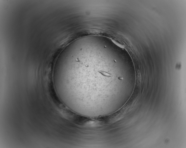 X0000102490364200808221736