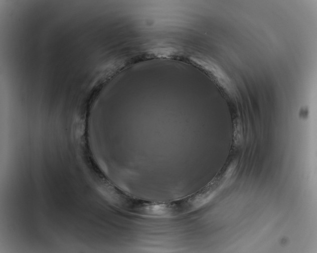 X0000102490365200808221736