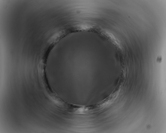 X0000102490366200808221736