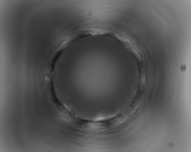 X0000102490367200808221736