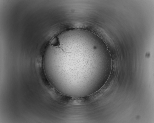 X0000102490368200808221736