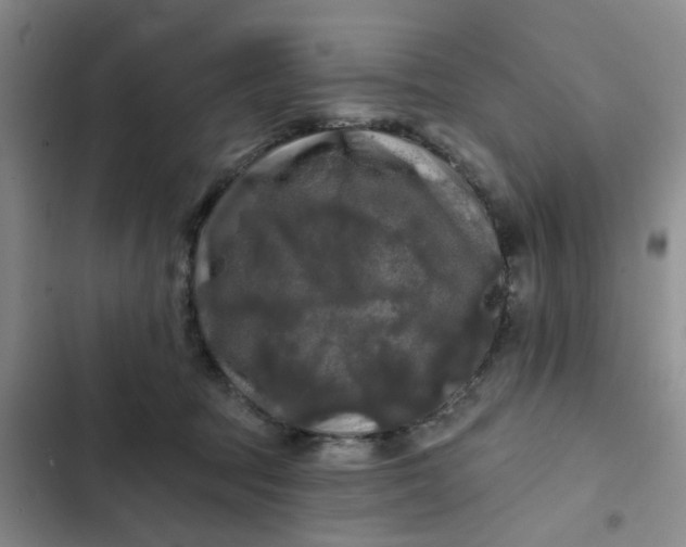 X0000102490369200808221736