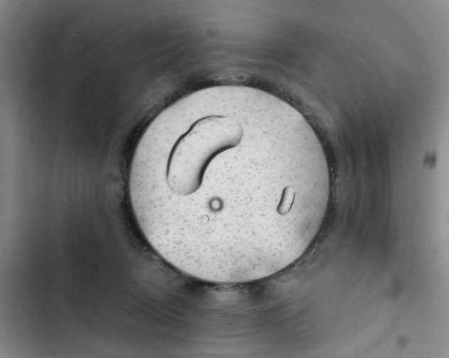 X0000102490370200808221736