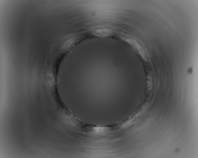 X0000102490371200808221736