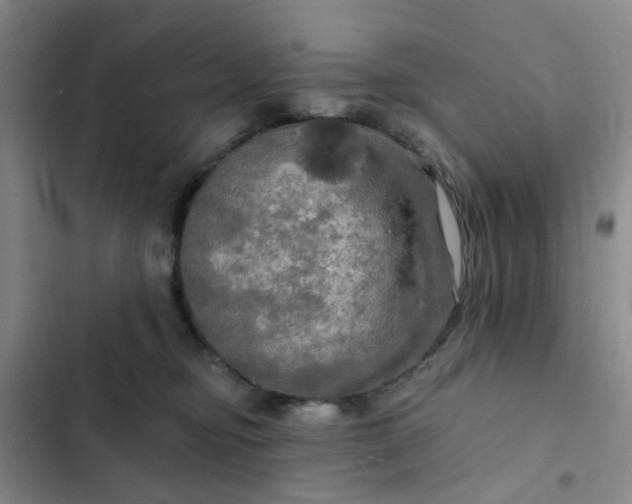 X0000102490374200808221736