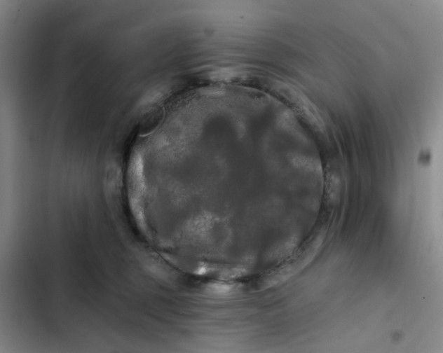 X0000102490375200808221736