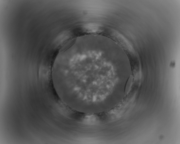 X0000102490376200808221736