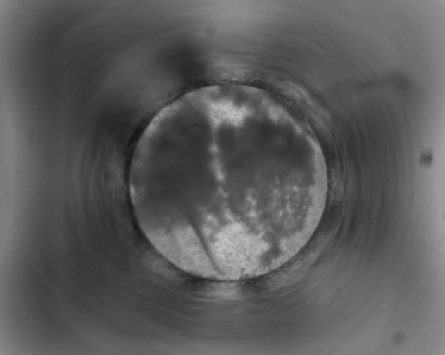 X0000102490377200808221736