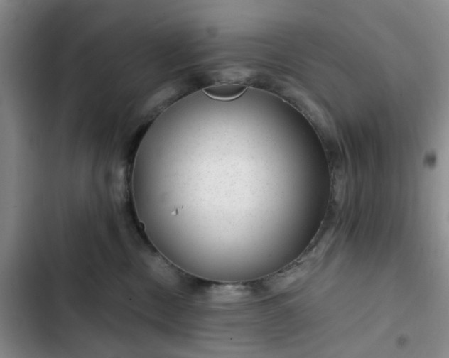 X0000102490378200808221736