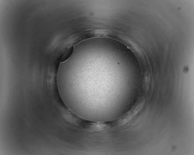 X0000102490379200808221736