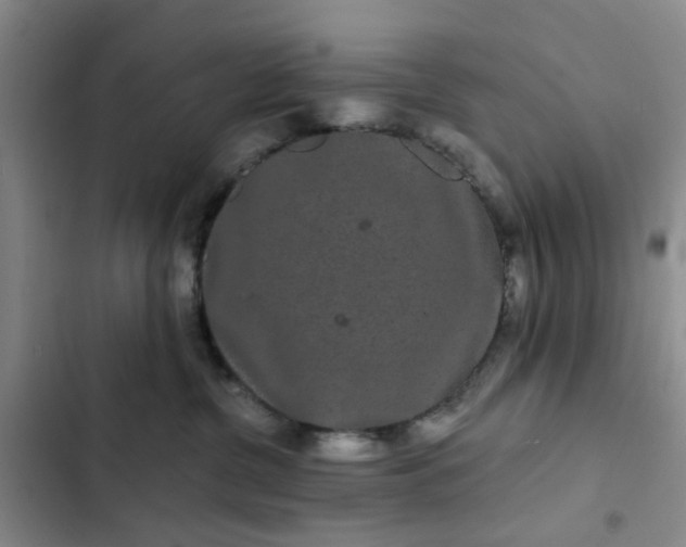 X0000102490380200808221736