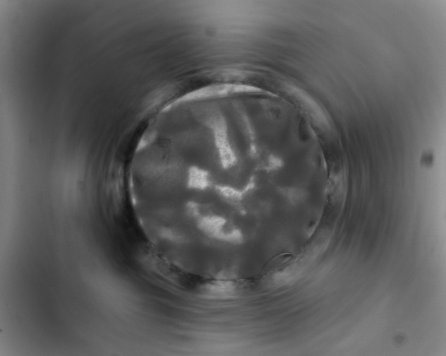 X0000102490381200808221736