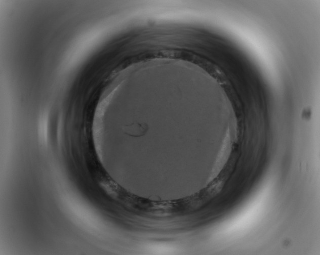 X0000102490382200808221736