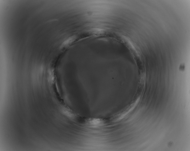 X0000102490383200808221736