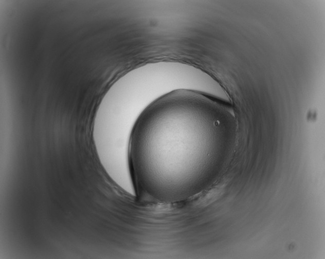 X0000102490384200808221736