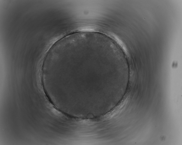 X0000102490385200808221736