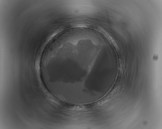 X0000102490386200808221736