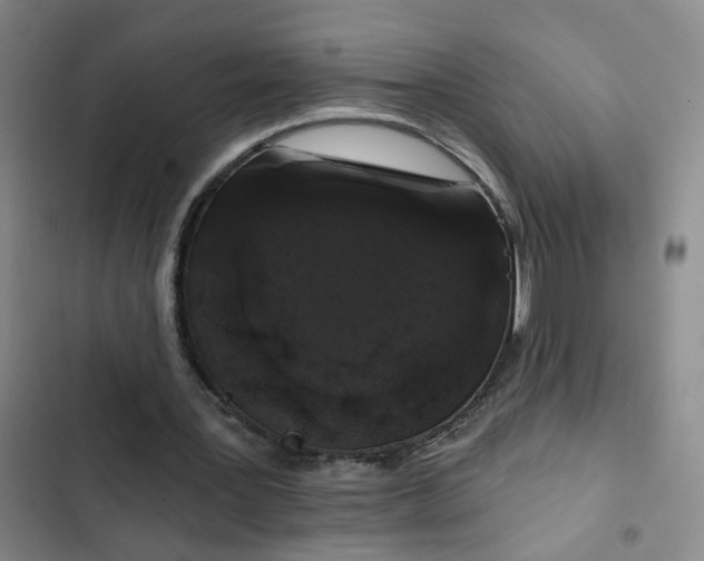 X0000102490387200808221736