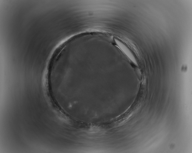 X0000102490388200808221736