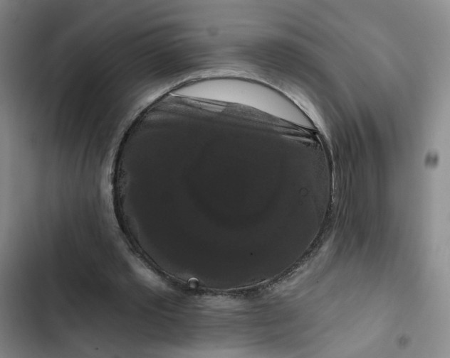 X0000102490389200808221736