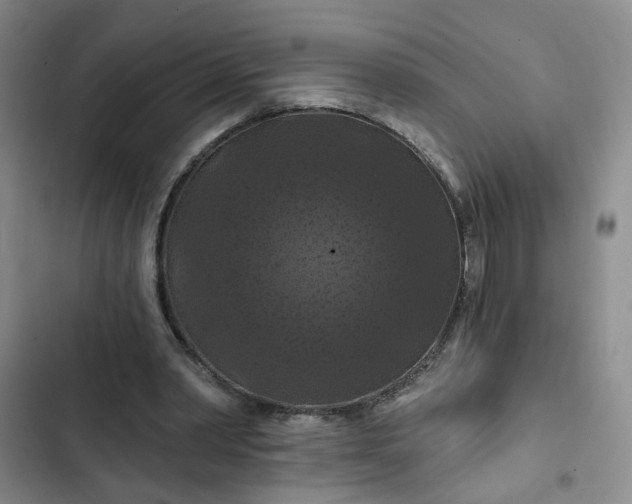 X0000102490390200808221735